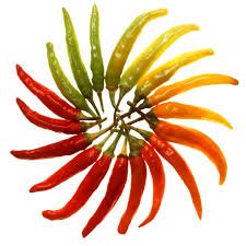 Gardening Peppers