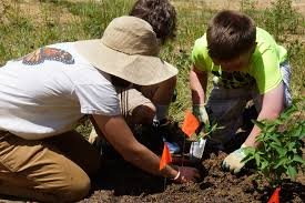 Gardening With Students